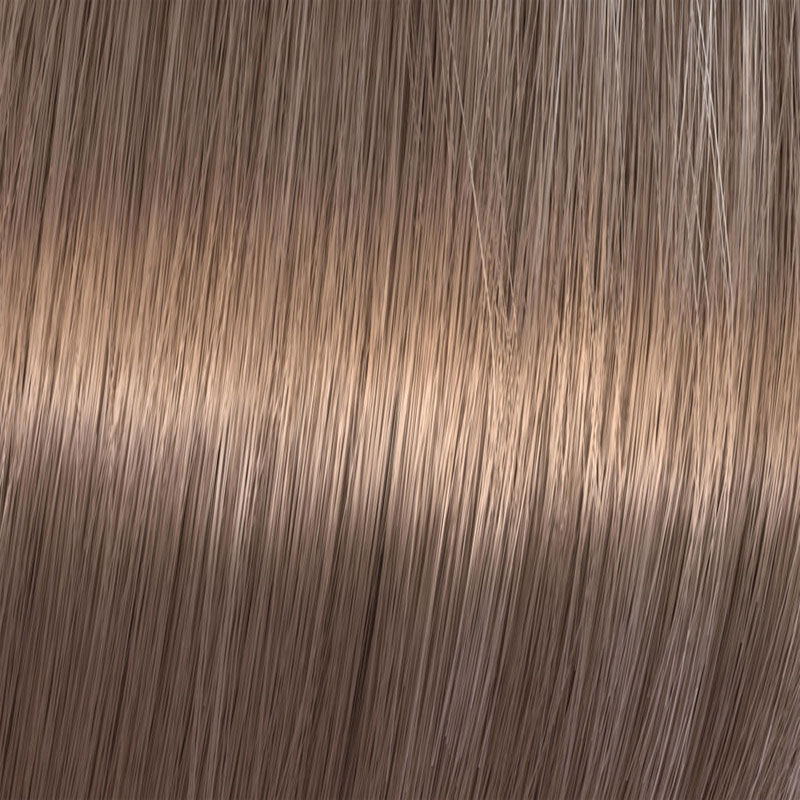 Coloration gloss Shinefinity 06/73 caramel chocolate