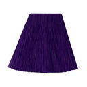 violet night