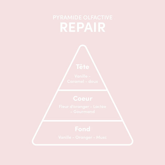 Shampooing cheveux abîmés Repair 300 ml