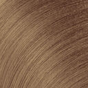 dor&eacute; beige 7.31 - 7GB