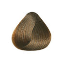 7.73 Blond Marron Doré