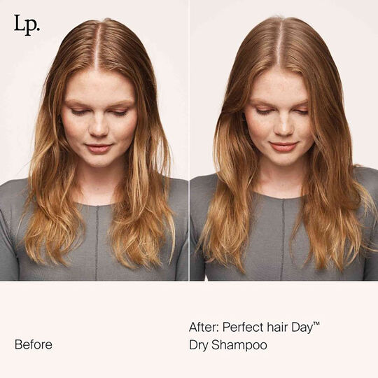 Shampooing sec Perfect Hair Day