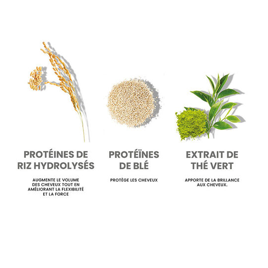 Routine nourrissante Repair My Hair