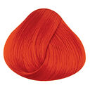 Tangerine