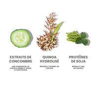 Rituel hydratant cheveux normaux à secs