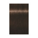 4-65 ch&acirc;tain chocolat dor&eacute;
