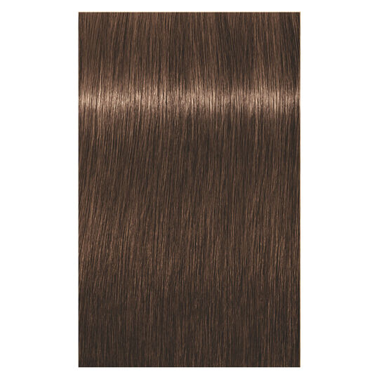 Coloration permanente Igora Royal 6-6 blond fonc&eacute; chocolat