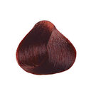 5.66 Ch&acirc;tain Clair Rouge Profond
