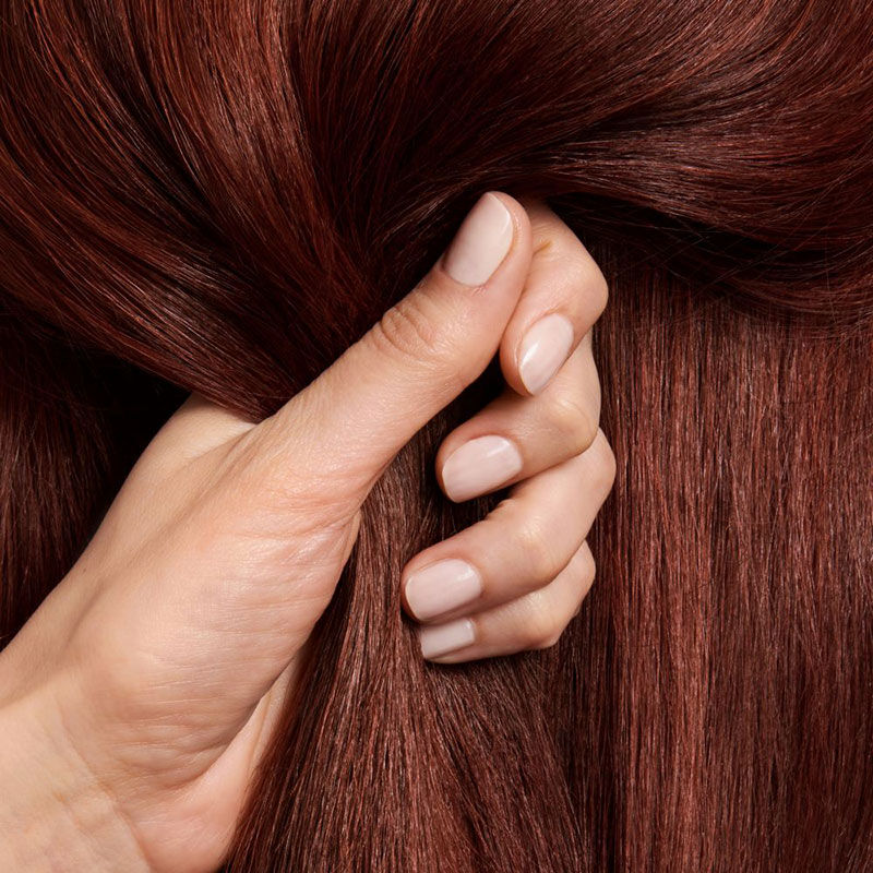 Duo cheveux fins color&eacute;s Color Motion+