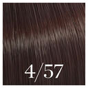 4/57 ch&acirc;tain acajou marron