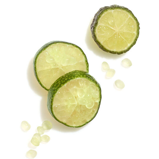 Conditionneur cheveux color&eacute;s et &eacute;pais Invigo Color Brilliance 1000ml